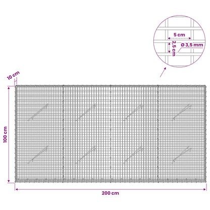 Gabion with 3.5 mm Wire and 5x2.5 cm Mesh 200x10x100 cm