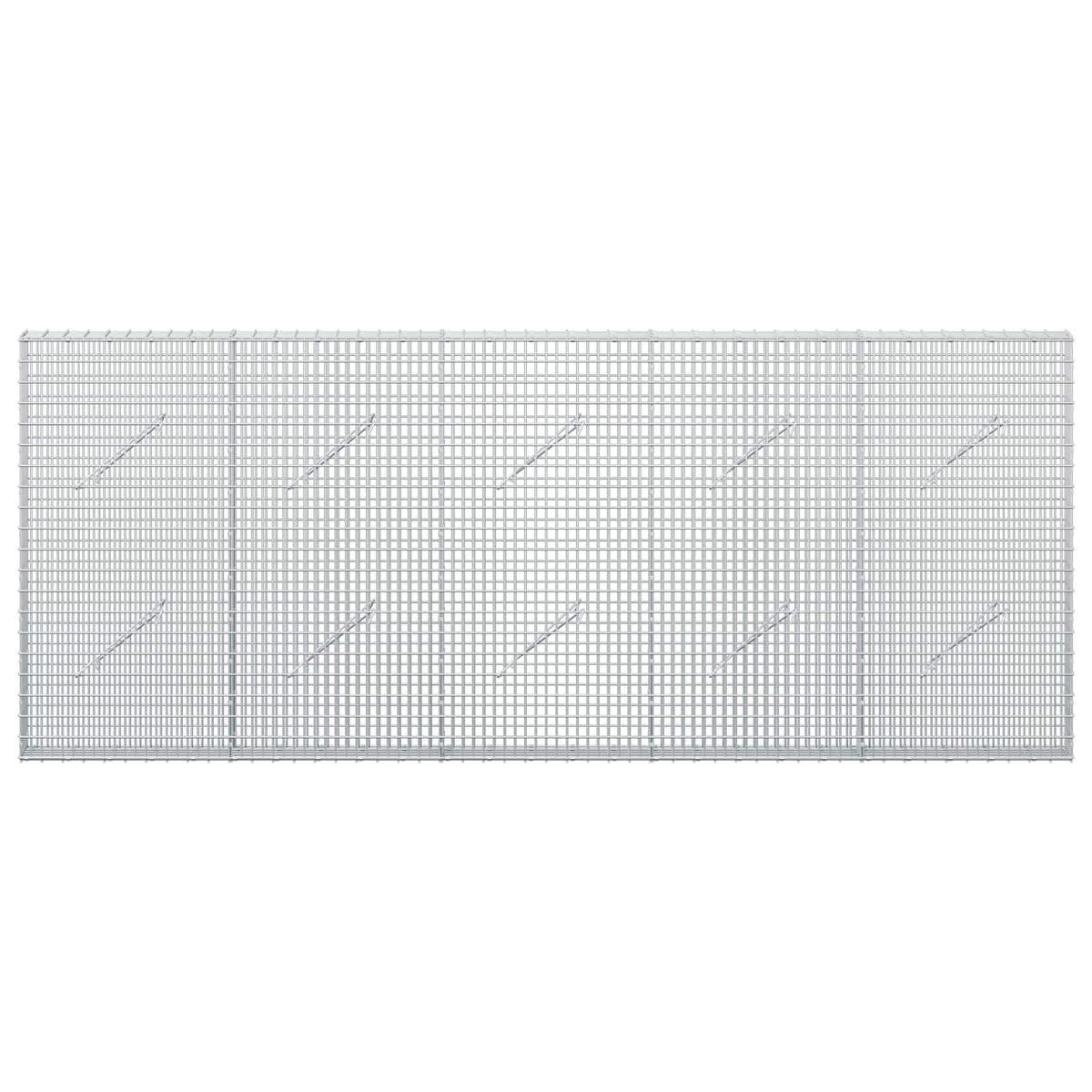 Gabion with 3.5 mm Wire and 5x2.5 cm Mesh 250x10x100 cm