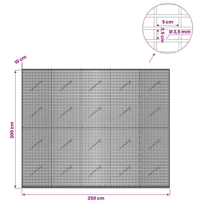 Gabion with 3.5 mm Wire and 5x2.5 cm Mesh 250x10x200 cm