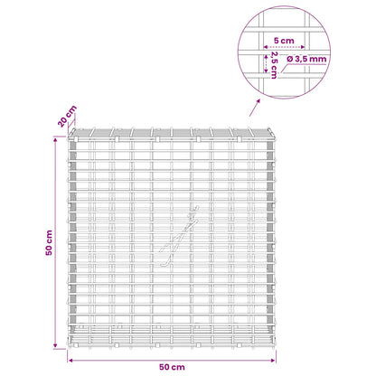 Gabion with 3.5 mm Wire and 5x2.5 cm Mesh 50x20x50 cm
