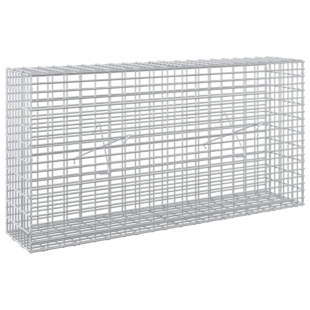 Gabion with 3.5 mm Wire and 5x2.5 cm Mesh 100x20x50 cm
