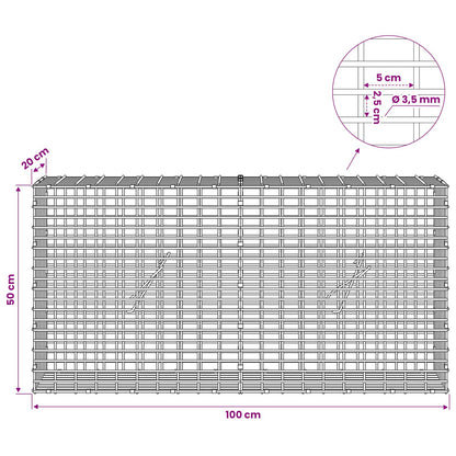 Gabion with 3.5 mm Wire and 5x2.5 cm Mesh 100x20x50 cm