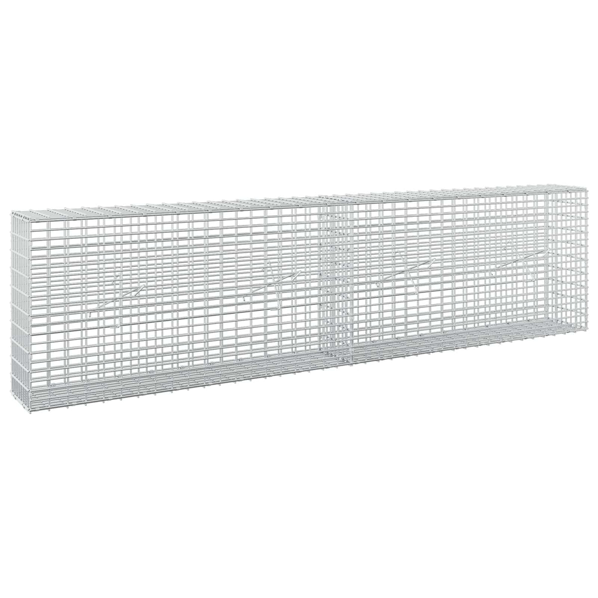 Gabion with 3.5 mm Wire and 5x2.5 cm Mesh 200x20x50 cm
