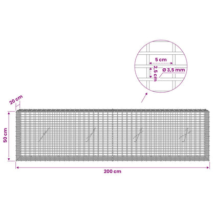 Gabion with 3.5 mm Wire and 5x2.5 cm Mesh 200x20x50 cm