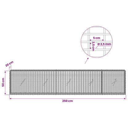 Gabion with 3.5 mm Wire and 5x2.5 cm Mesh 250x20x50 cm