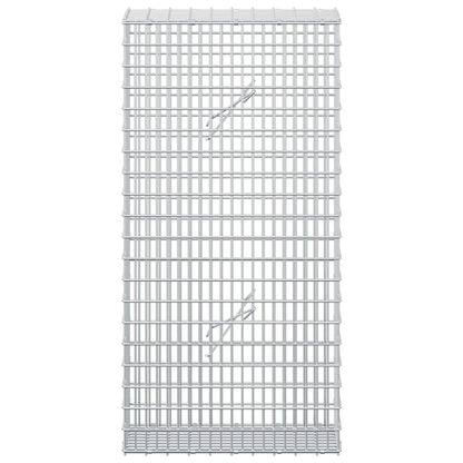 Gabion with 3.5 mm Wire and 5x2.5 cm Mesh 50x20x100 cm