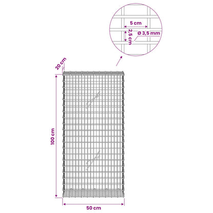 Gabion with 3.5 mm Wire and 5x2.5 cm Mesh 50x20x100 cm
