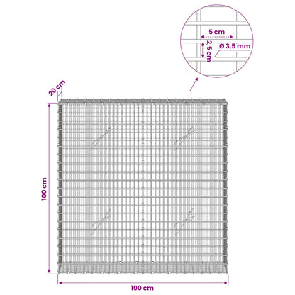 Gabion with 3.5 mm Wire and 5x2.5 cm Mesh 100x20x100 cm