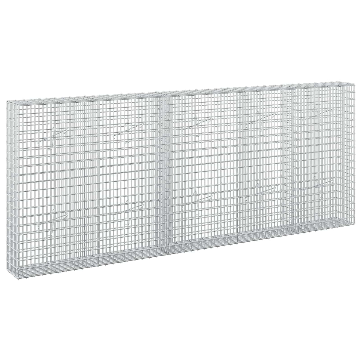 Gabion with 3.5 mm Wire and 5x2.5 cm Mesh 250x20x100 cm