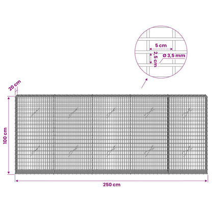 Gabion with 3.5 mm Wire and 5x2.5 cm Mesh 250x20x100 cm