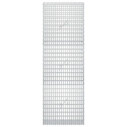 Gabion with 3.5 mm Wire and 5x2.5 cm Mesh 50x20x150 cm
