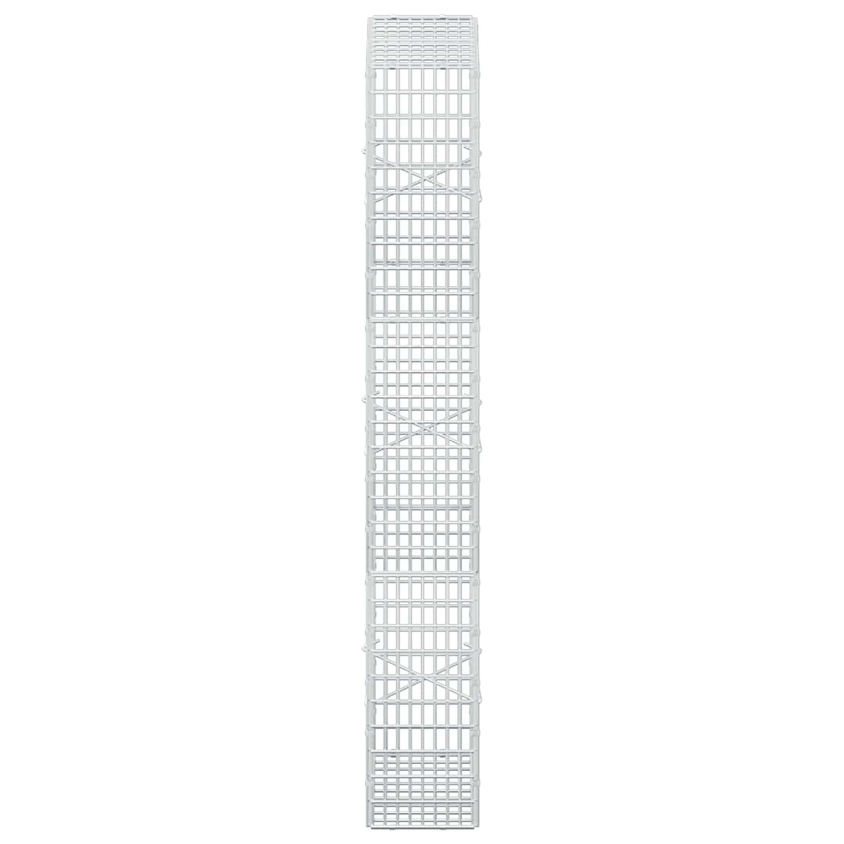 Gabion with 3.5 mm Wire and 5x2.5 cm Mesh 50x20x150 cm