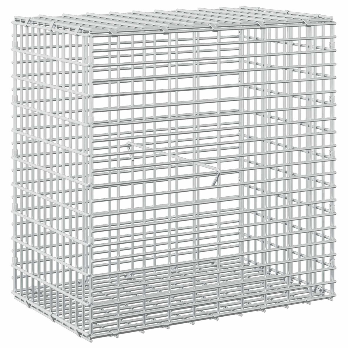 Gabion with 3.5 mm Wire and 5x2.5 cm Mesh 50x30x50 cm