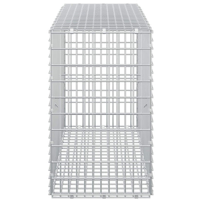 Gabion with 3.5 mm Wire and 5x2.5 cm Mesh 100x30x50 cm
