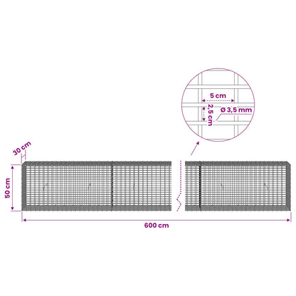 Gabion with 3.5 mm Wire and 5x2.5 cm Mesh 600x30x50 cm
