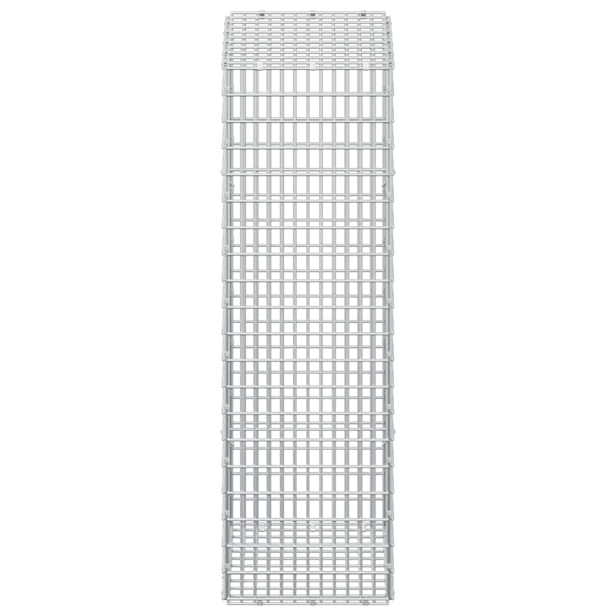 Gabion with 3.5 mm Wire and 5x2.5 cm Mesh 50x30x100 cm