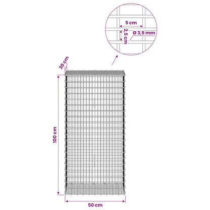 Gabion with 3.5 mm Wire and 5x2.5 cm Mesh 50x30x100 cm
