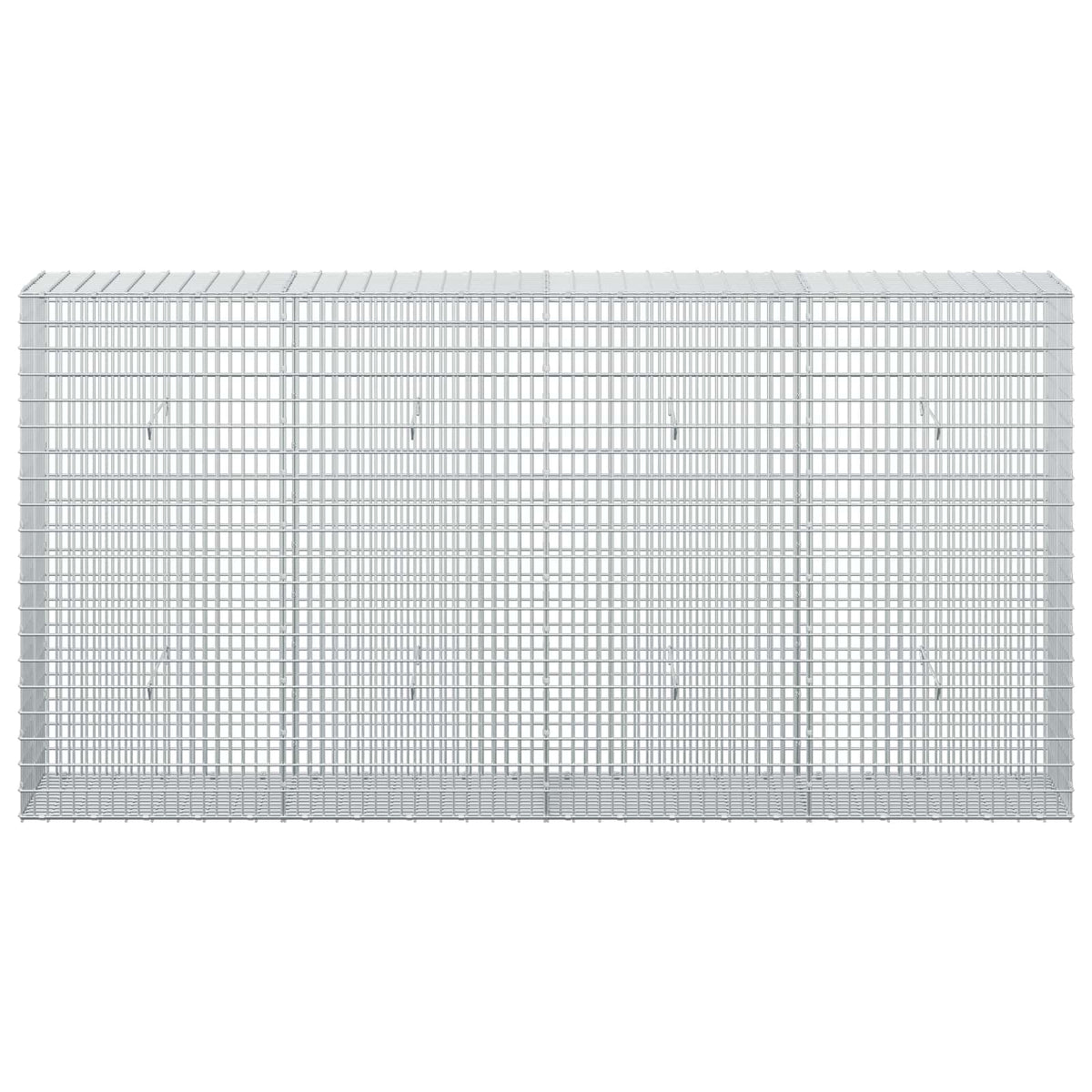 Gabion with 3.5 mm Wire and 5x2.5 cm Mesh 200x30x100 cm