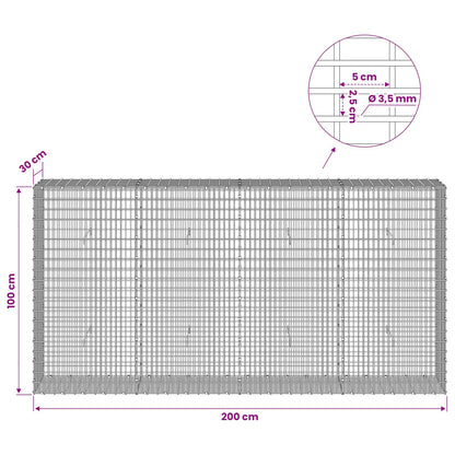 Gabion with 3.5 mm Wire and 5x2.5 cm Mesh 200x30x100 cm