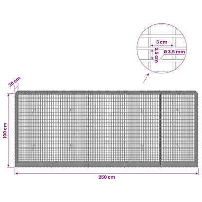 Gabion with 3.5 mm Wire and 5x2.5 cm Mesh 250x30x100 cm