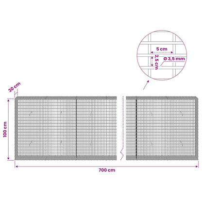 Gabion with 3.5 mm Wire and 5x2.5 cm Mesh 700x30x100 cm