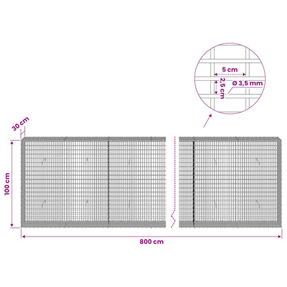 Gabion with 3.5 mm Wire and 5x2.5 cm Mesh 800x30x100 cm