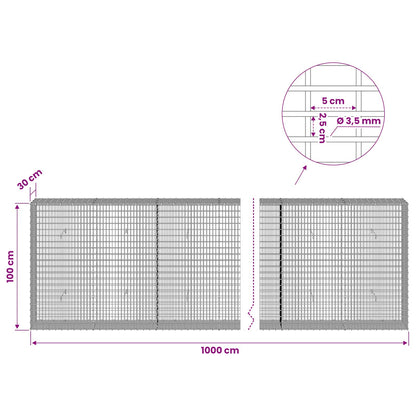 Gabion with 3.5 mm Wire and 5x2.5 cm Mesh 1000x30x100 cm