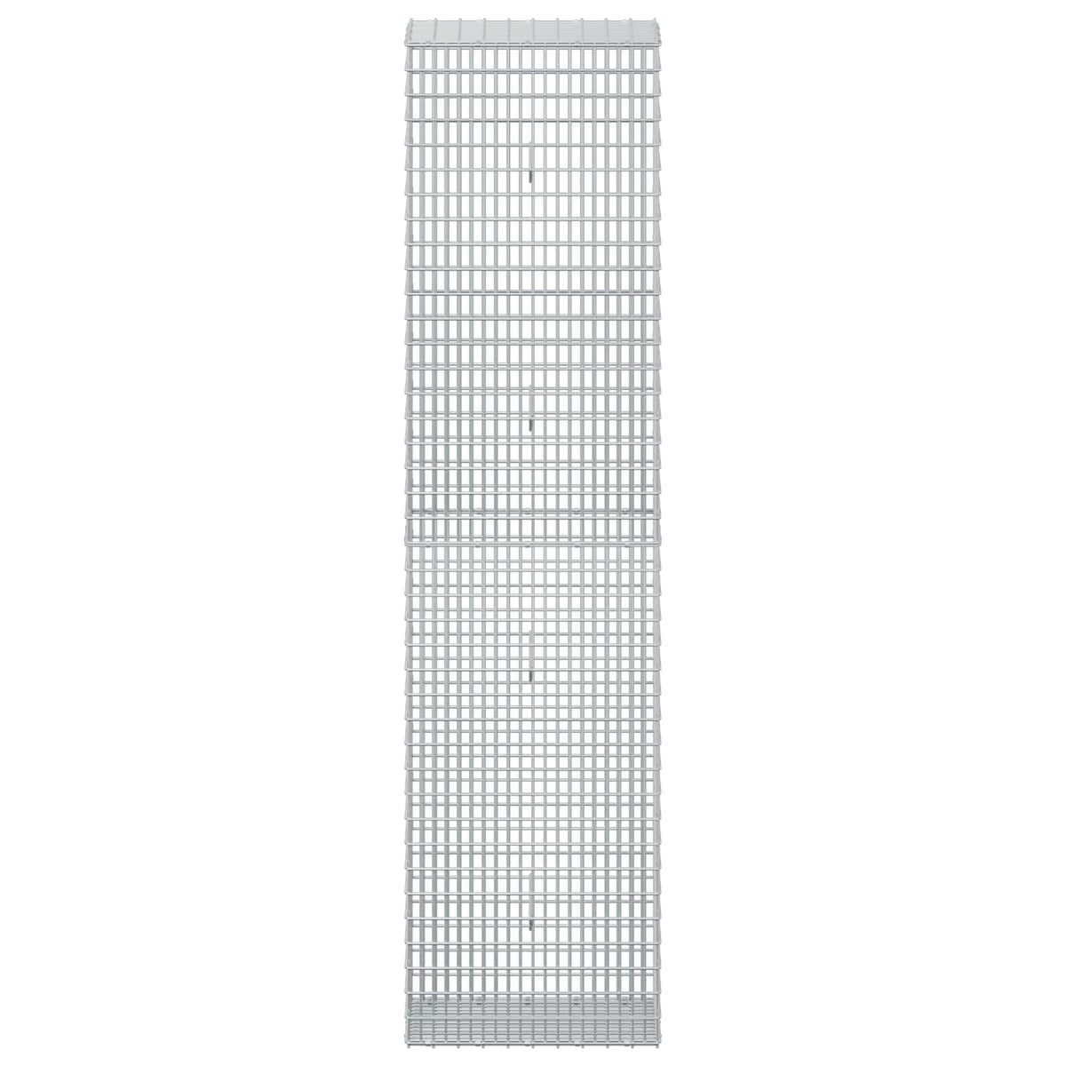 Gabion with 3.5 mm Wire and 5x2.5 cm Mesh 50x30x200 cm