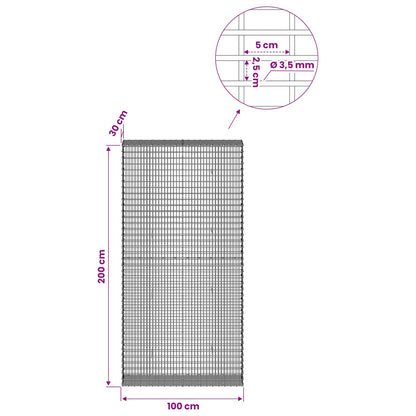 Gabion with 3.5 mm Wire and 5x2.5 cm Mesh 100x30x200 cm