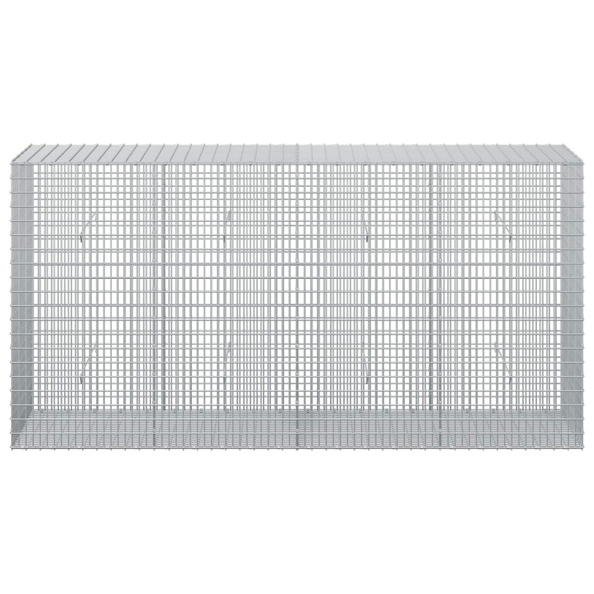 Gabion with 3.5 mm Wire and 5x2.5 cm Mesh 200x50x100 cm