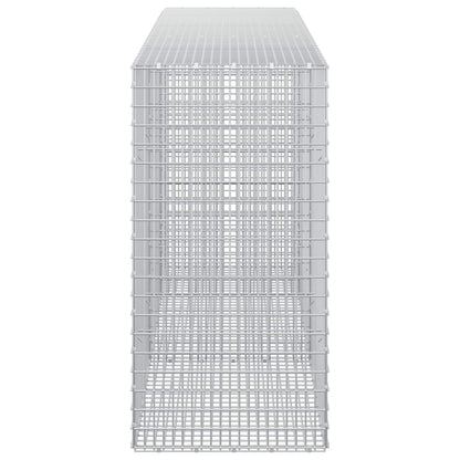 Gabion with 3.5 mm Wire and 5x2.5 cm Mesh 250x50x100 cm