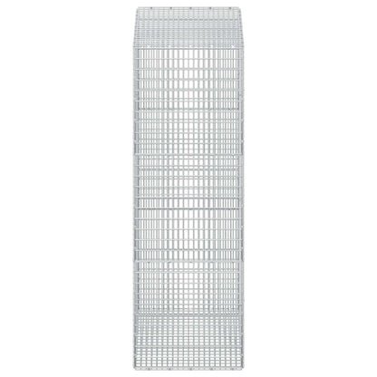 Gabion with 3.5 mm Wire and 5x2.5 cm Mesh 100x50x150 cm