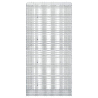 Gabion with 3.5 mm Wire and 5x2.5 cm Mesh 100x50x200 cm