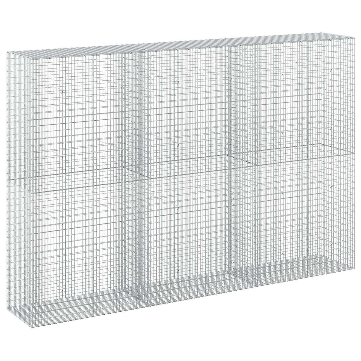 Gabion with 3.5 mm Wire and 5x2.5 cm Mesh 300x50x200 cm
