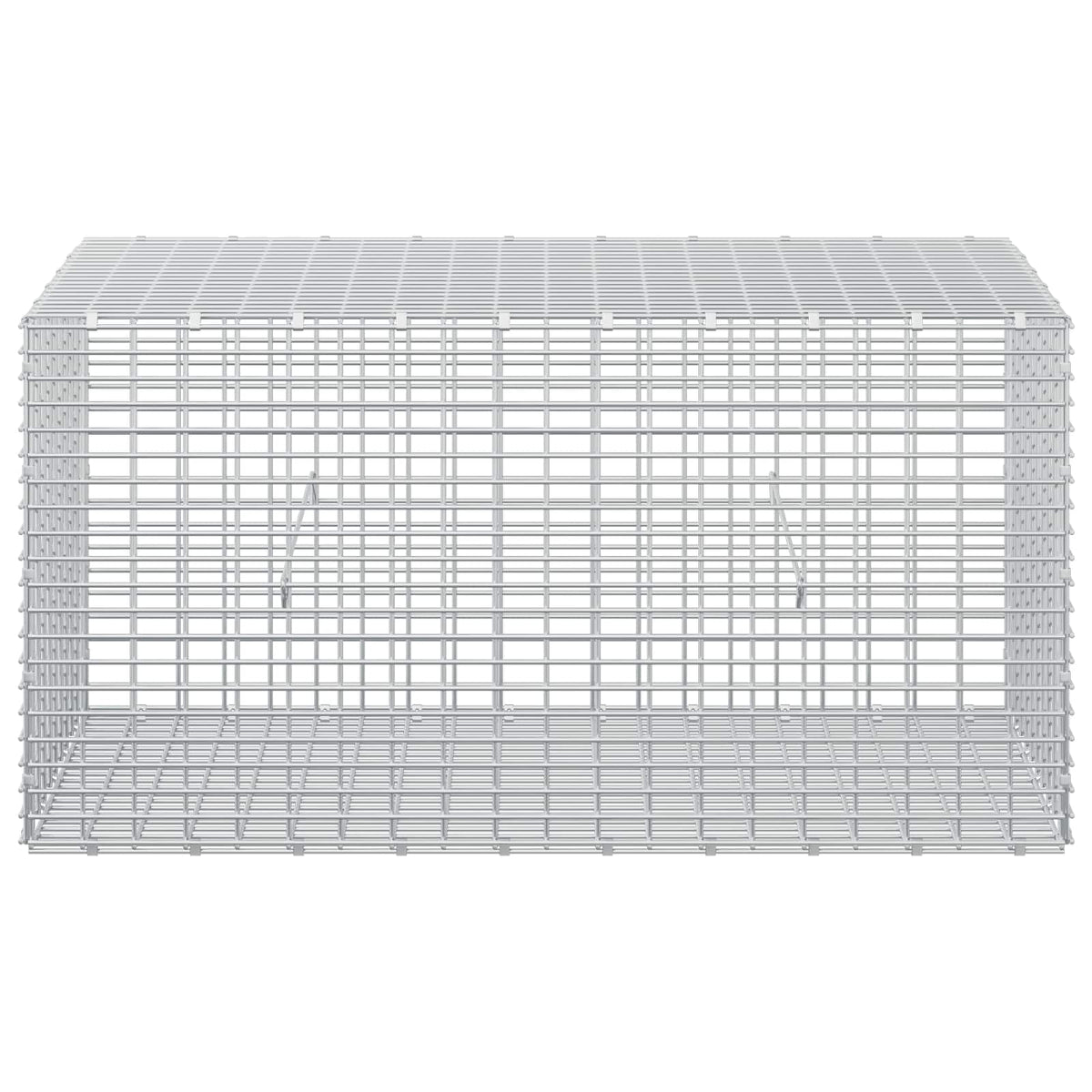 Gabion with 3.5 mm Wire and 5x2.5 cm Mesh 50x100x50 cm