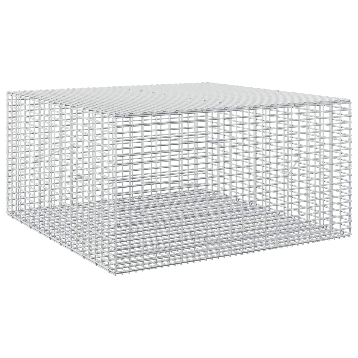 Gabion with 3.5 mm Wire and 5x2.5 cm Mesh 100x100x50 cm