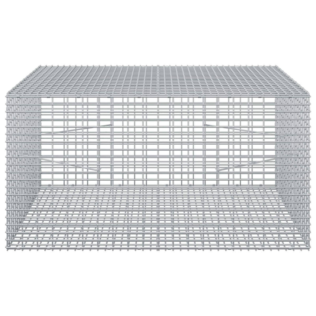 Gabion with 3.5 mm Wire and 5x2.5 cm Mesh 100x100x50 cm
