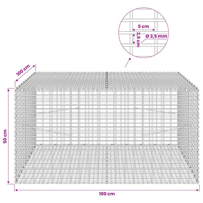 Gabion with 3.5 mm Wire and 5x2.5 cm Mesh 100x100x50 cm