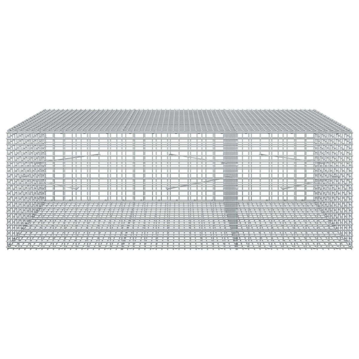 Gabion with 3.5 mm Wire and 5x2.5 cm Mesh 150x100x50 cm
