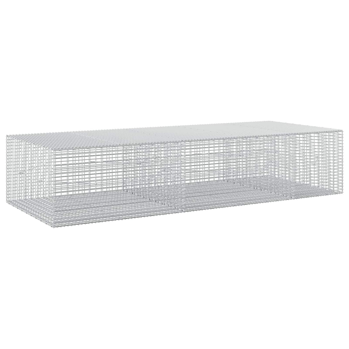 Gabion with 3.5 mm Wire and 5x2.5 cm Mesh 250x100x50 cm