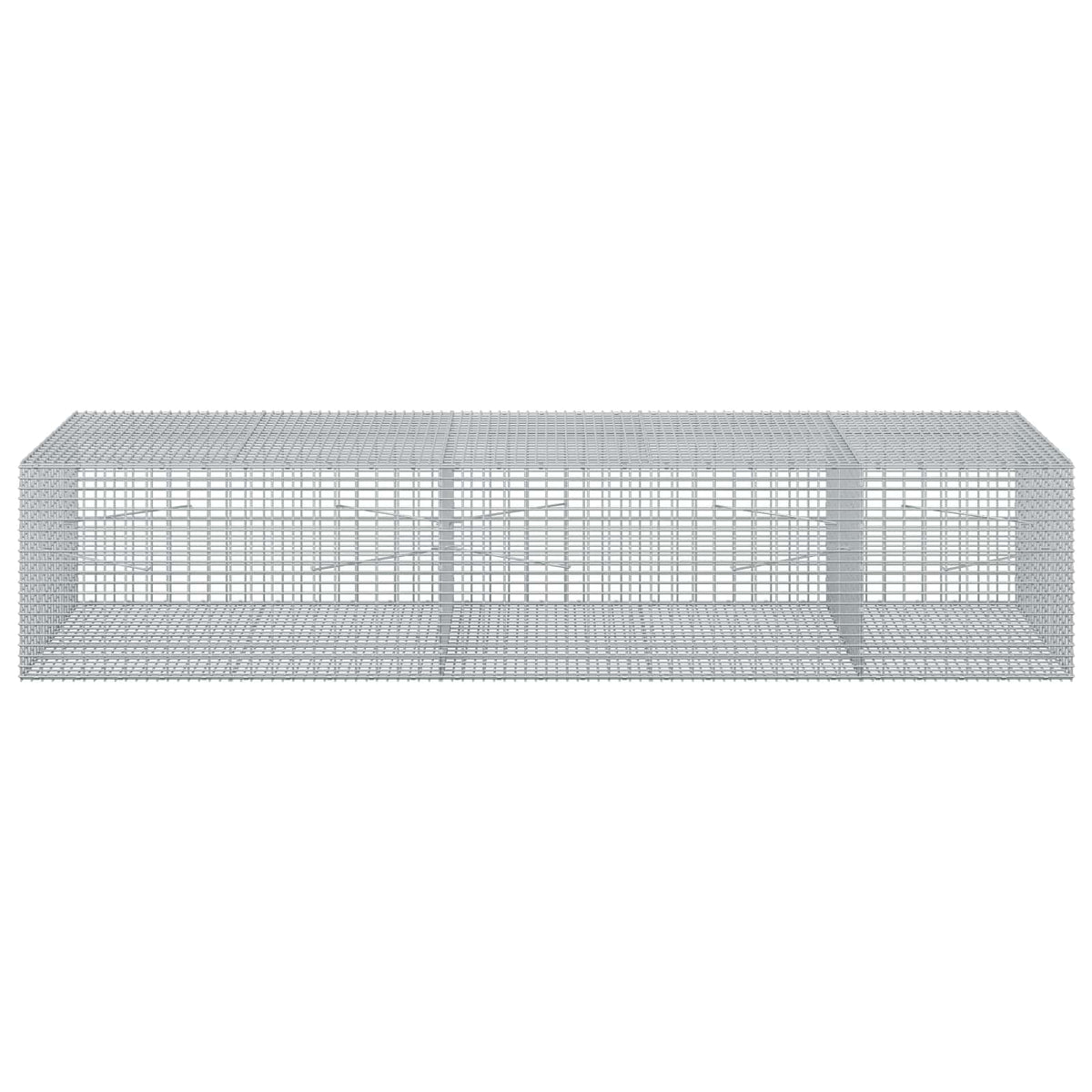 Gabion with 3.5 mm Wire and 5x2.5 cm Mesh 250x100x50 cm