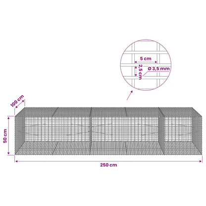 Gabion with 3.5 mm Wire and 5x2.5 cm Mesh 250x100x50 cm