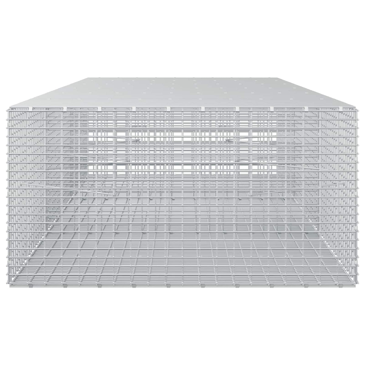 Gabion with 3.5 mm Wire and 5x2.5 cm Mesh 300x100x50 cm