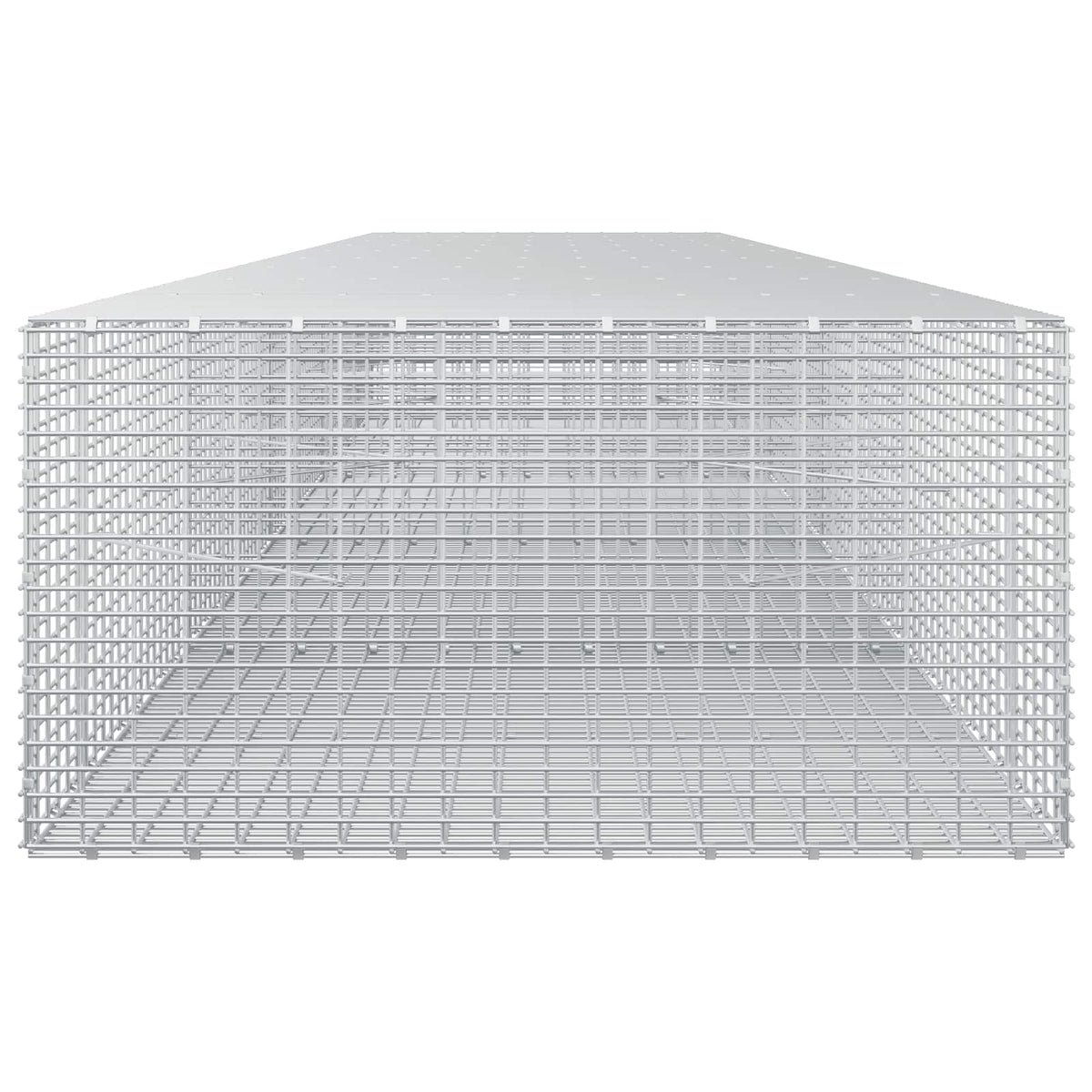 Gabion with 3.5 mm Wire and 5x2.5 cm Mesh 450x100x50 cm