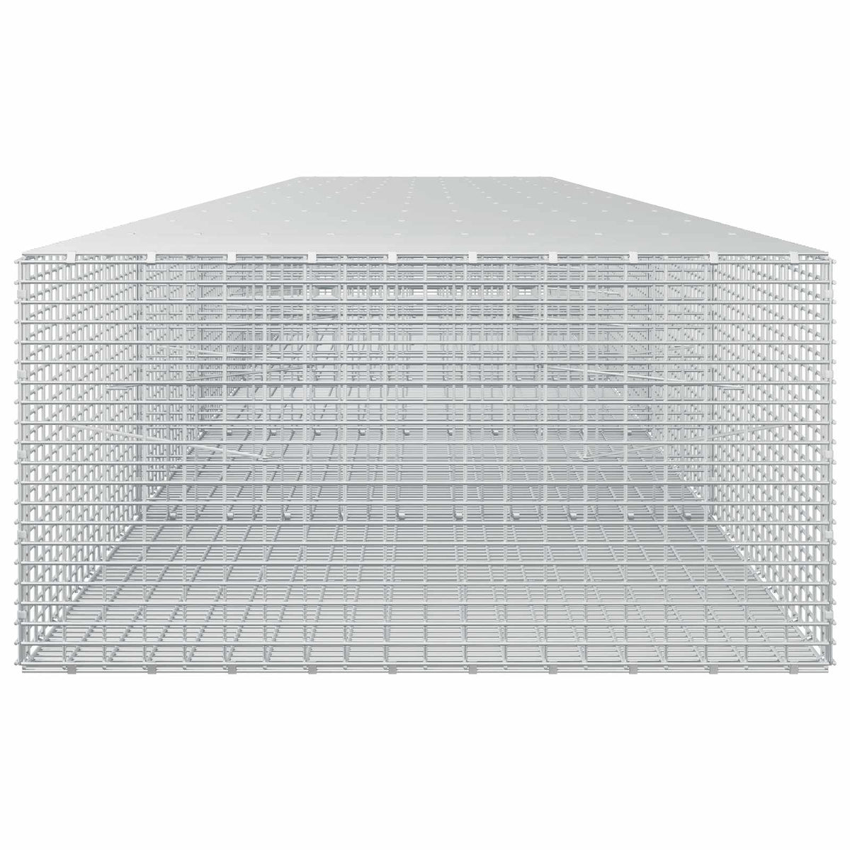 Gabion with 3.5 mm Wire and 5x2.5 cm Mesh 550x100x50 cm