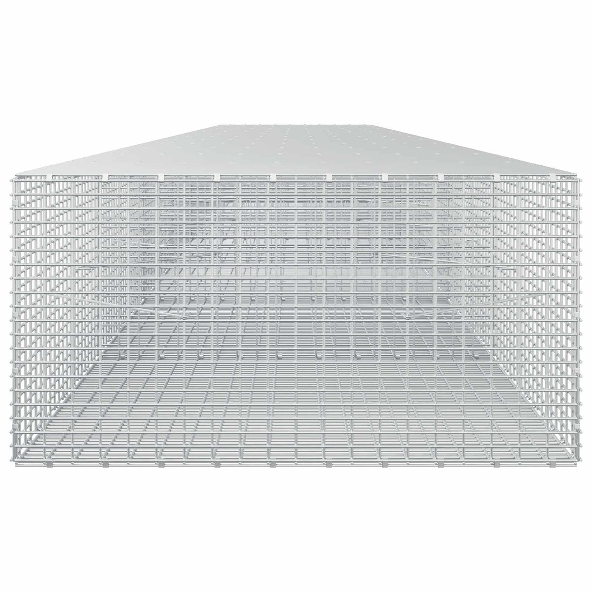 Gabion with 3.5 mm Wire and 5x2.5 cm Mesh 650x100x50 cm