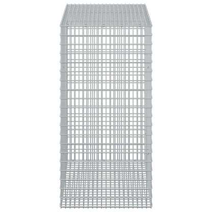 Gabion with 3.5 mm Wire and 5x2.5 cm Mesh 50x100x100 cm