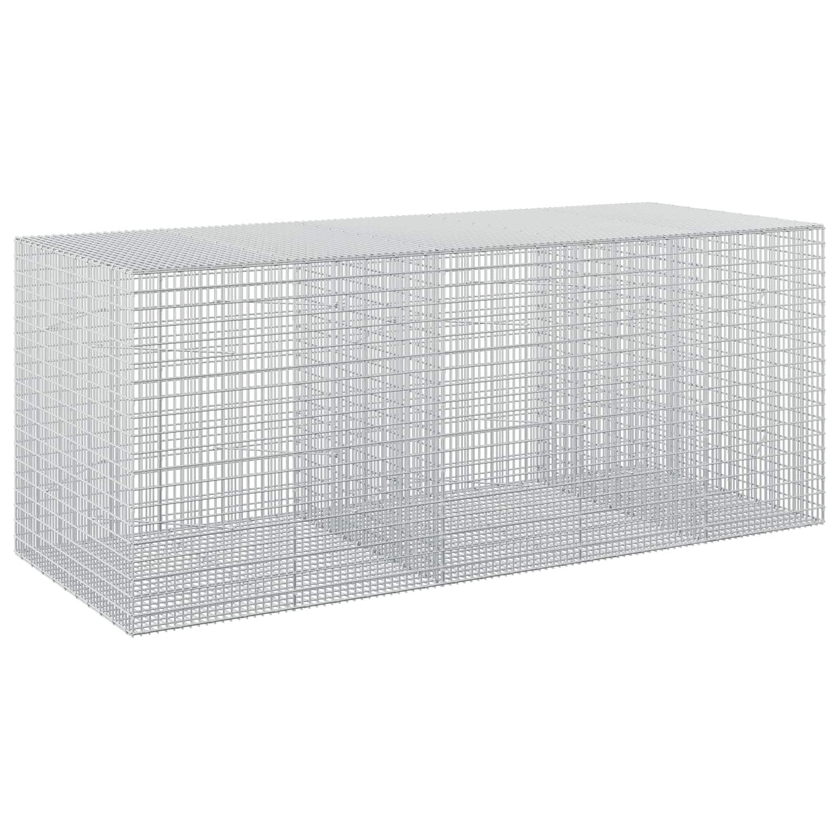 Gabion with 3.5 mm Wire and 5x2.5 cm Mesh 250x100x100 cm