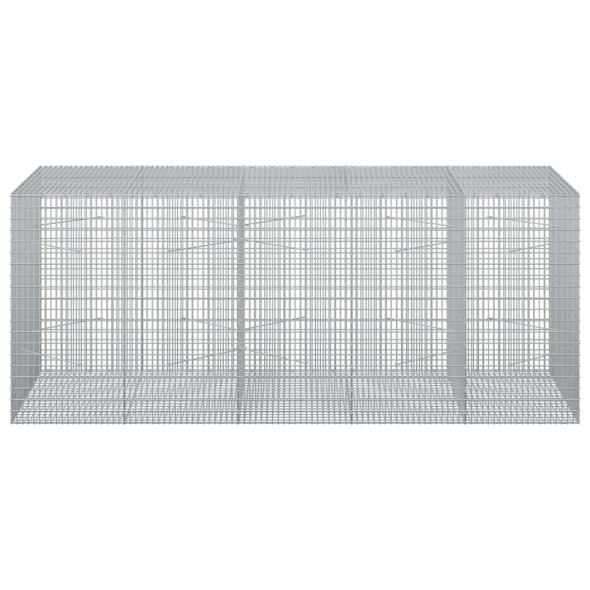 Gabion with 3.5 mm Wire and 5x2.5 cm Mesh 250x100x100 cm