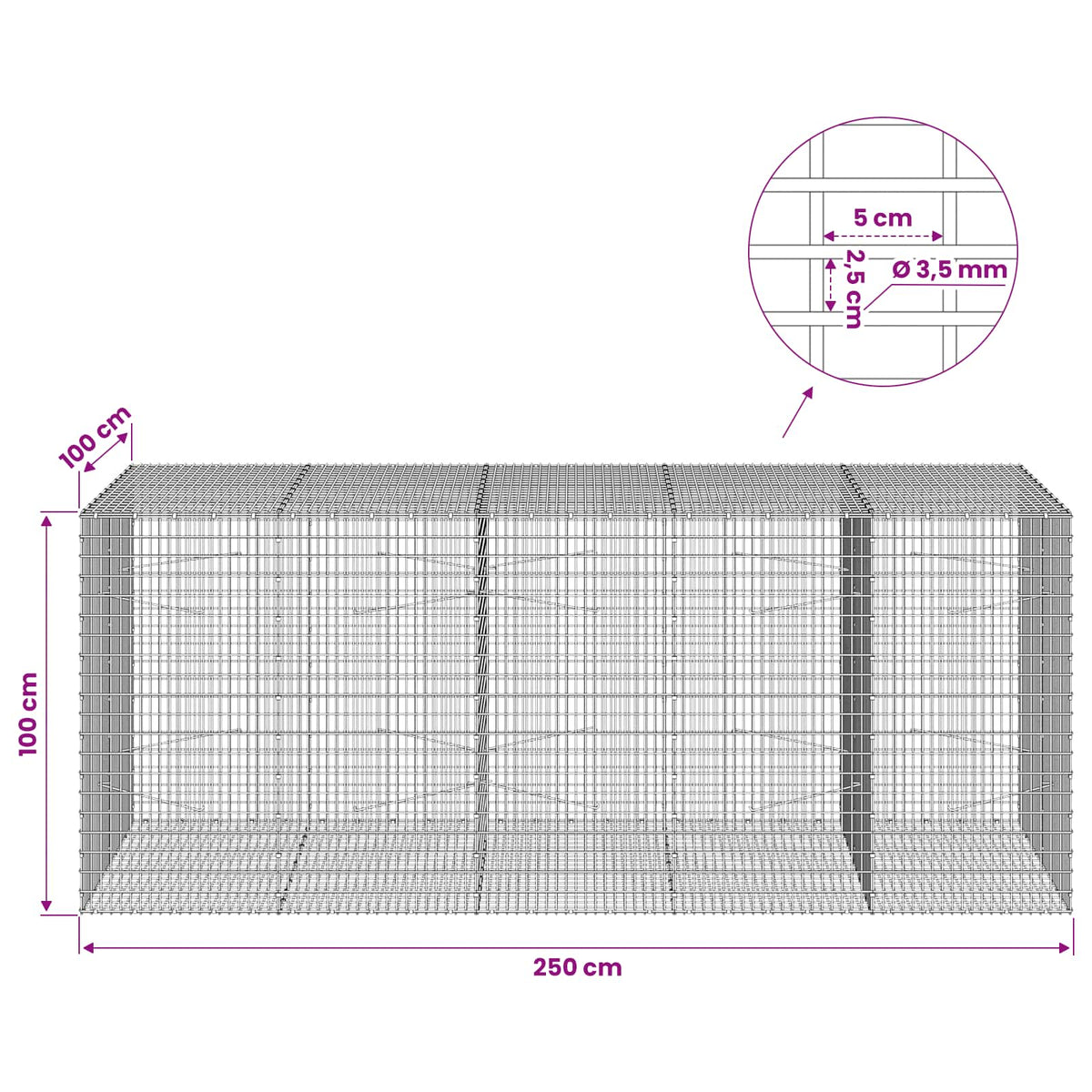 Gabion with 3.5 mm Wire and 5x2.5 cm Mesh 250x100x100 cm